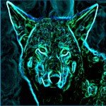 N-Trance Songs MP3 Download